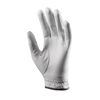 Ping Sport Glove Ladies