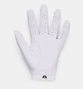 Under Armour Spieth Tour Gloves