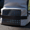 Ping Shoe Bag