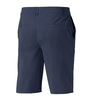 Mizuno Challenge Short