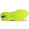 ECCO Golf Biom H5